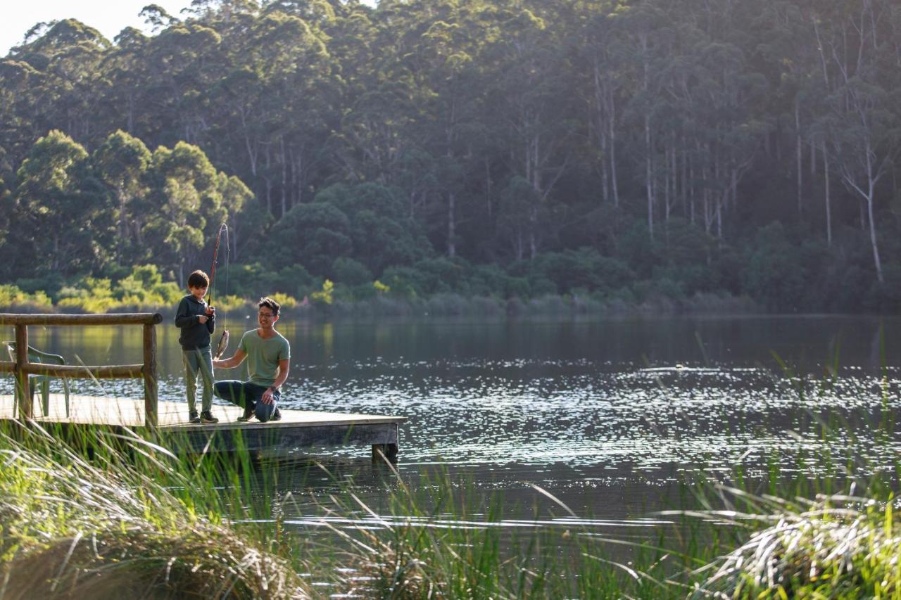 Rac Karri Valley Resort Pemberton