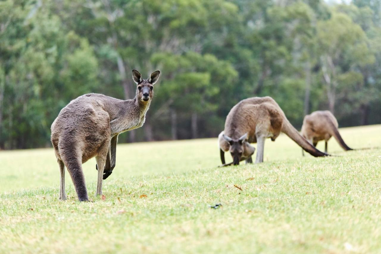 Resort Rac Karri Valley